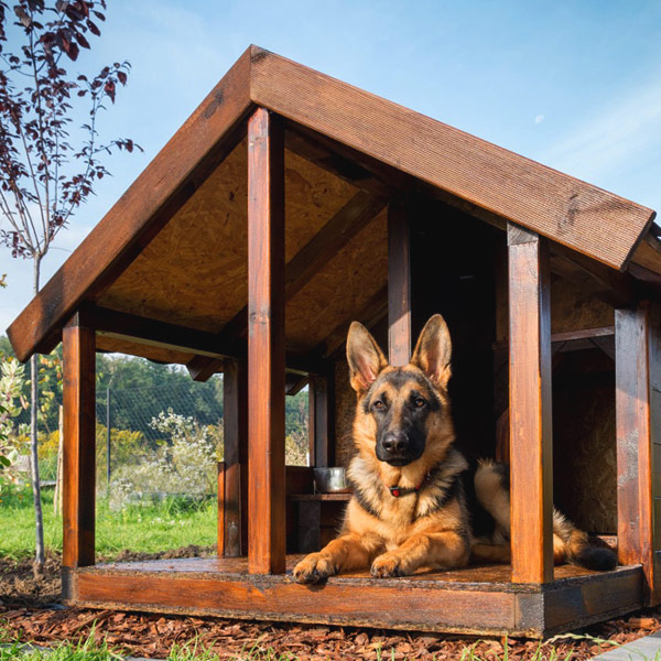 Vállaljuk kutyaházak készítését